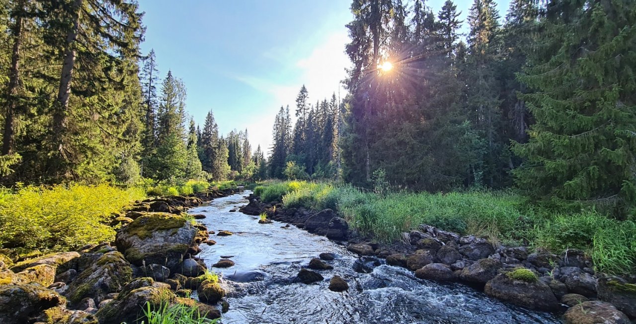 S mu�ka�sk�m prutem ve �v�dsku t�ikr�t za sebou