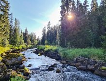 S muškařským prutem ve Švédsku třikrát za sebou