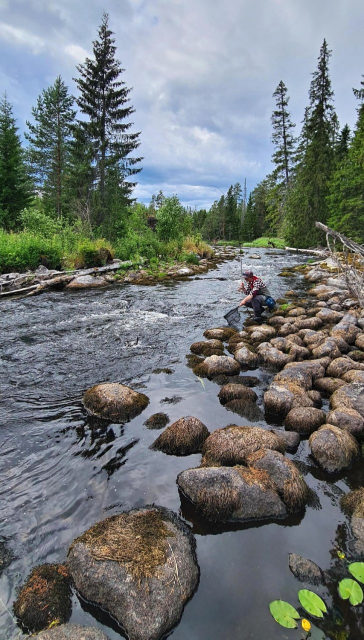 S mu�ka�sk�m prutem ve �v�dsku t�ikr�t za sebou