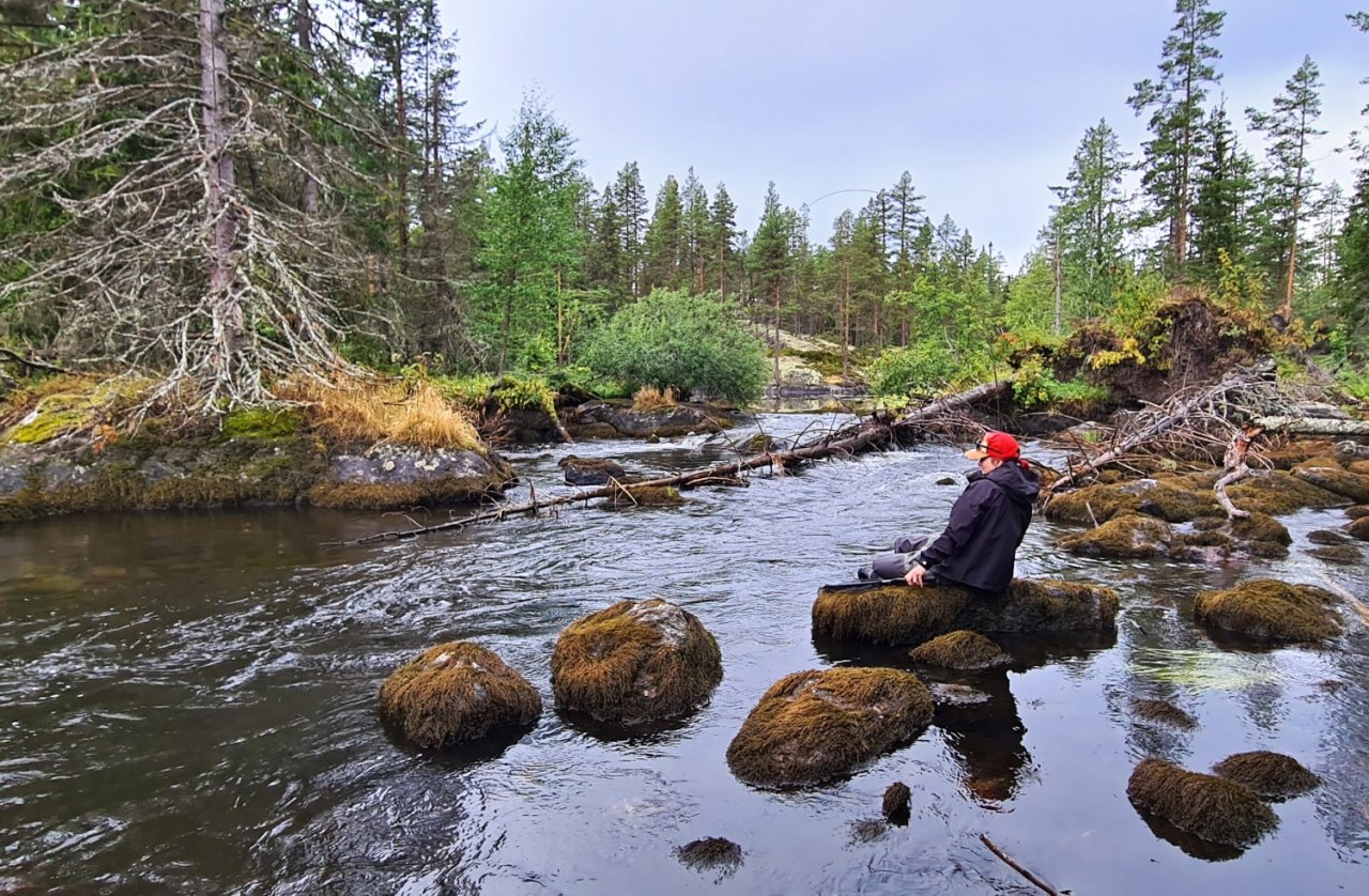 S mu�ka�sk�m prutem ve �v�dsku t�ikr�t za sebou