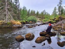 S muškařským prutem ve Švédsku třikrát za sebou
