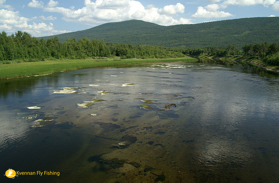 Spodn� ��st mu�ka�sk�ho �seku