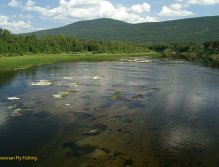 Spodní část muškařského úseku