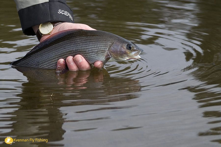 Catch& Release je doporu�eno