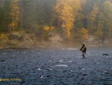Podzimní nálada na řece Glomma