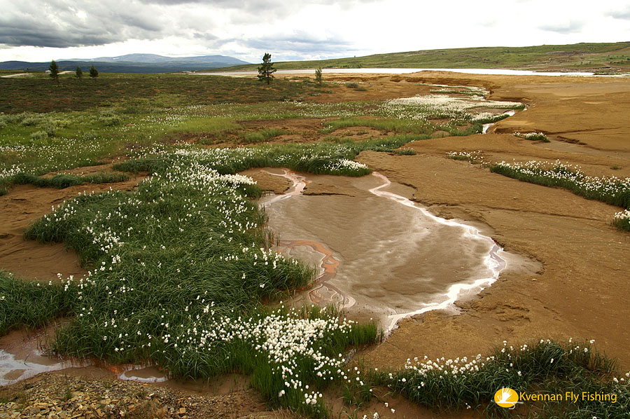 Horsk� oblast v okol� Roros