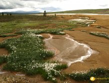 Horská oblast v okolí Roros