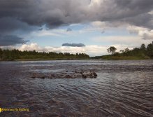 Po dešti na muškařském úseku