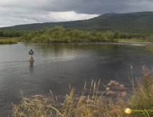 Velká řeka, malé mušky