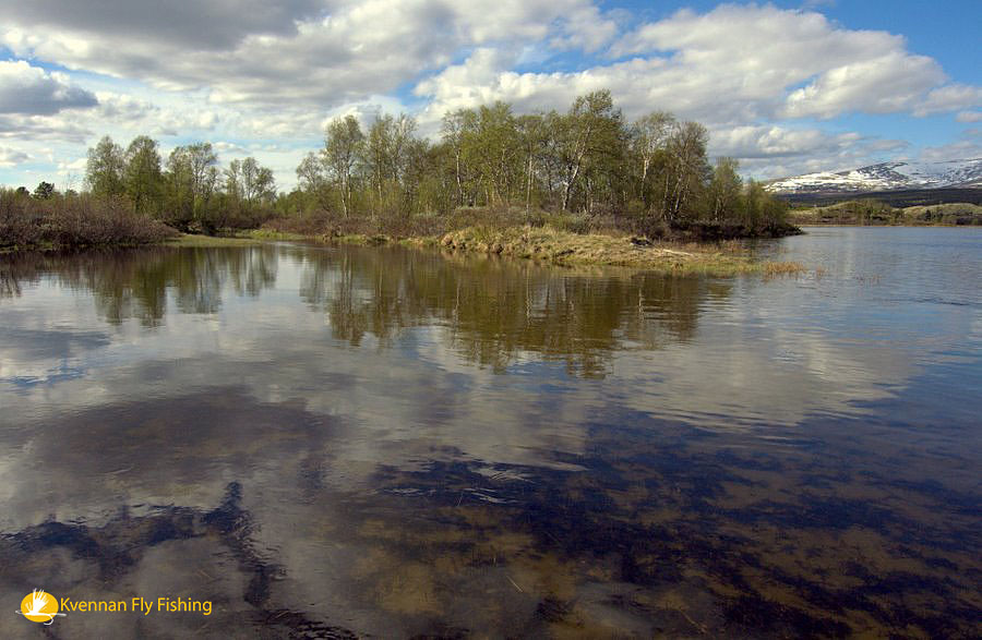 Jaro na Hodalen Lakes