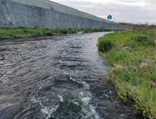 Litávka u Králova Dvora