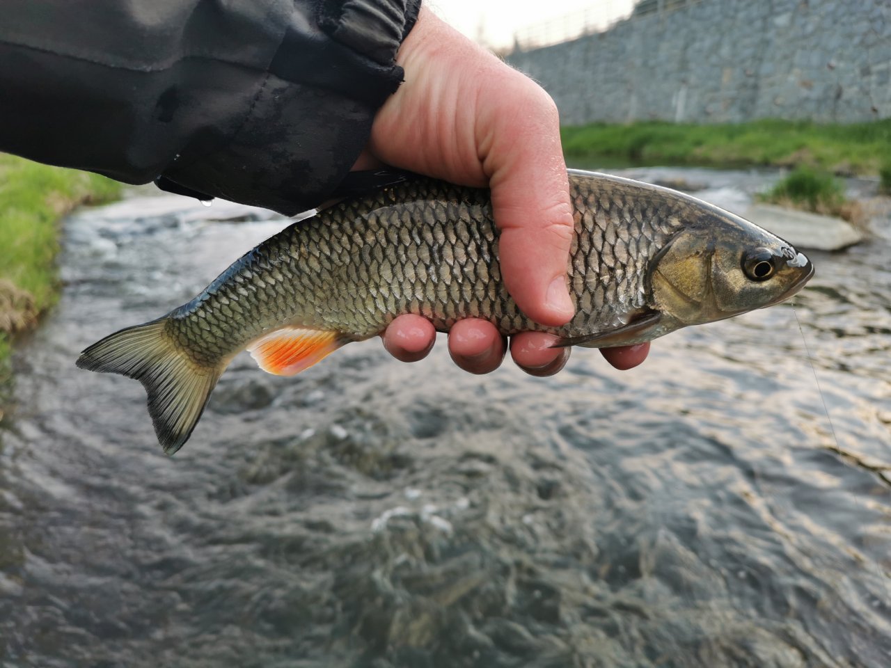 B�n� tlou�� z Lit�vky