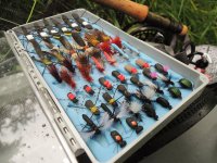 Nov Zland ve Stedn Evrop? dn problm!