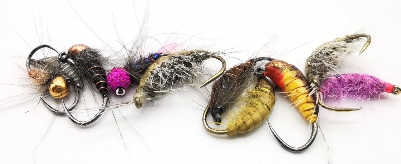 Speci�ln� ���n� nymfy nav�zan� se speci�ln�mi wolframov�mi z�t�emi	