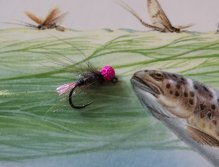 Tungstenový jig s wolframovou hlavičkou SUNNY Knápek Hooks