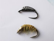 NEW SHRIMP BODY připravená na háčku & blešivec navázaný s tímto tělíčkem