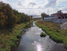 Litavka u Králova Dvora