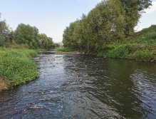 Litávka v Berouně nad benzinkou OMV