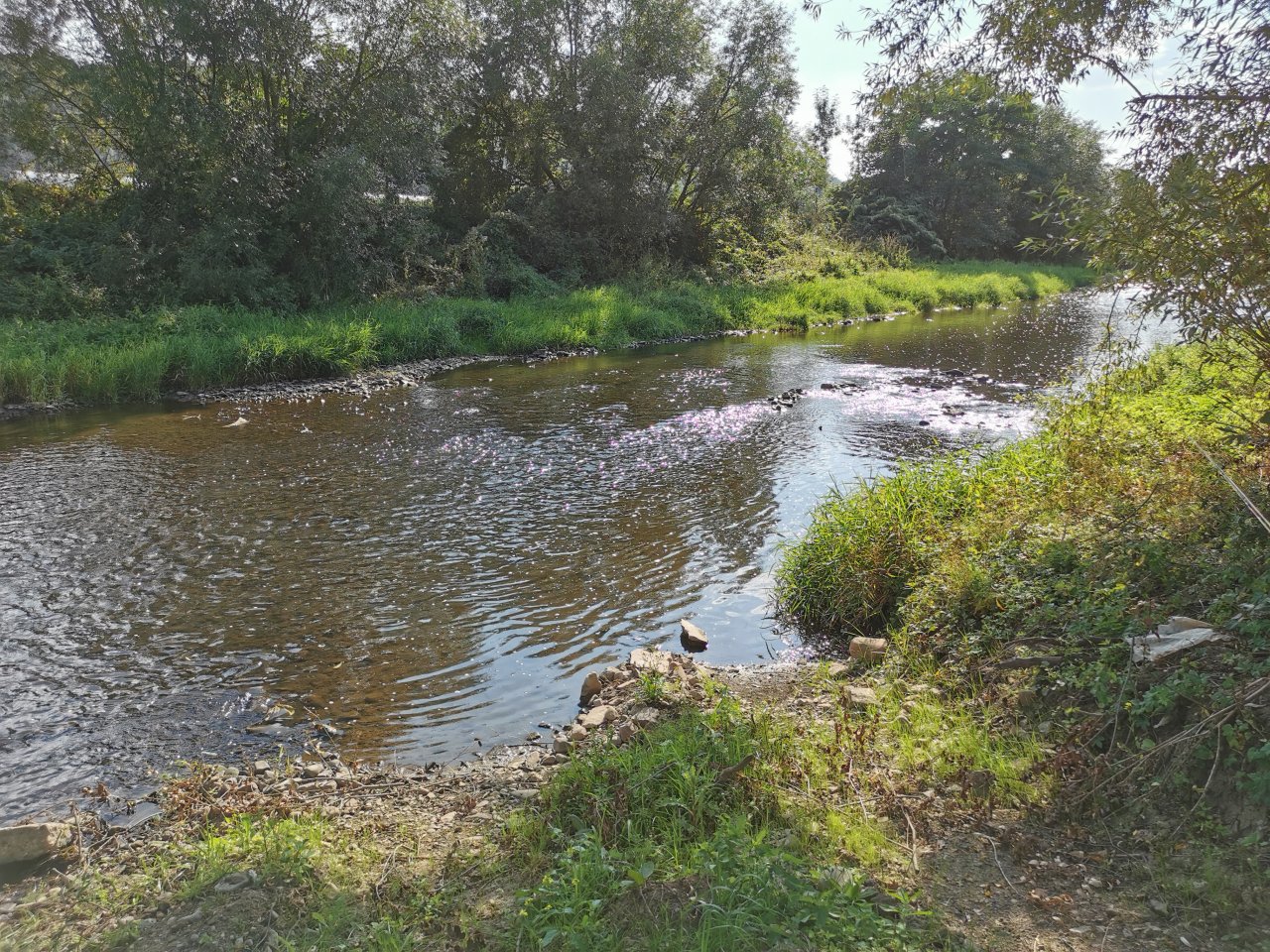 Lit�vka v Beroun� nad benzinkou OMV