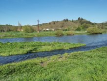 Berounka 3 pod Berounem