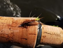 Berounka 3 pod Berounem