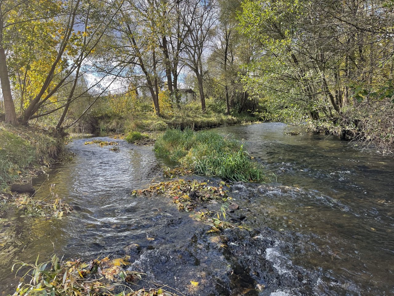 Soutok Jelenky (vlevo) a �hlavy