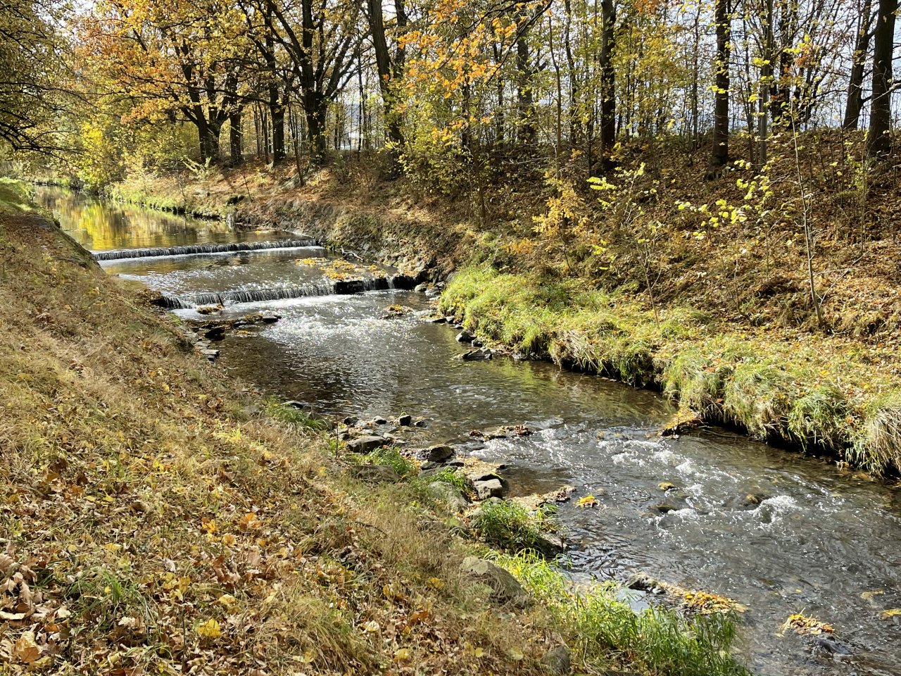 Jelenka v Janovic�ch nad �hlavou