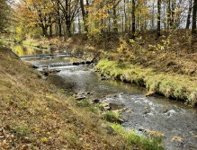 Jelenka v Janovicích nad Úhlavou