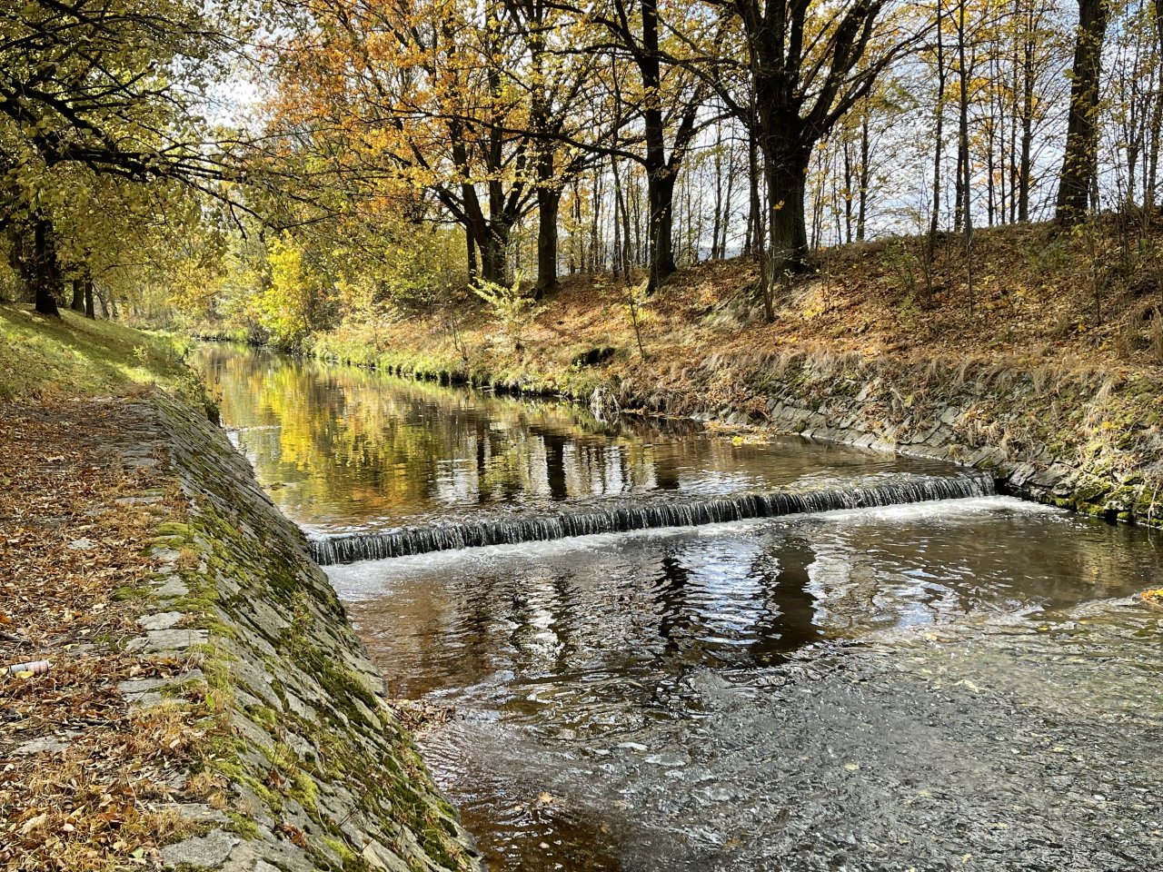 Jelenka v Janovic�ch nad �hlavou