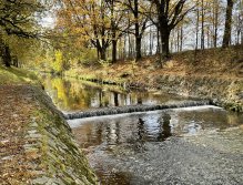 Jelenka v Janovicích nad Úhlavou