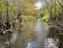 Jelenka v Janovicích nad Úhlavou