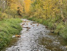Jelenka v Janovicích nad Úhlavou