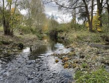 Jelenka nad soutokem s Úhlavou