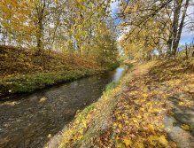 Jelenka v Janovicích nad Úhlavou