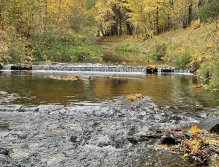 Jelenka v Janovicích nad Úhlavou