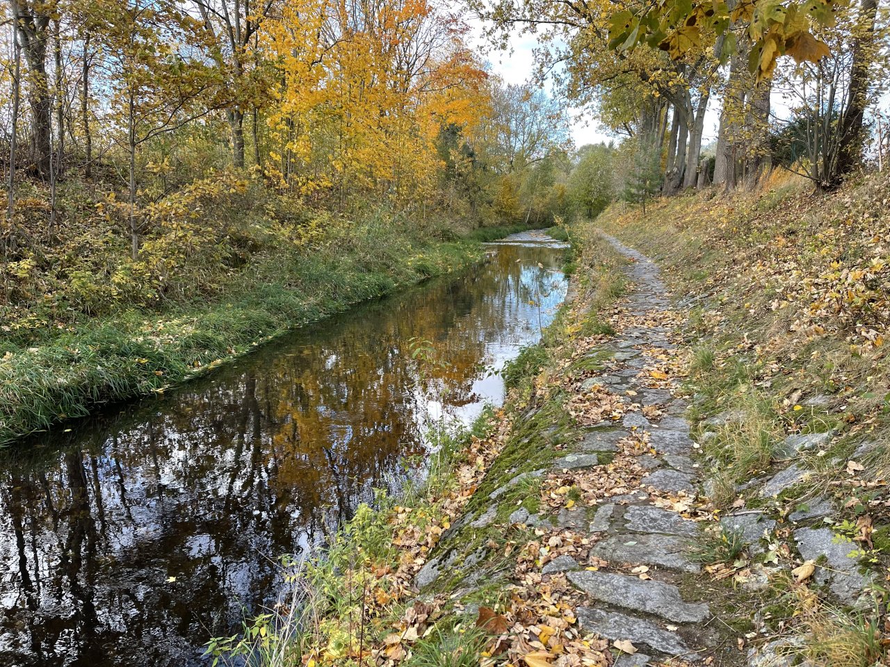 Jelenka v Janovic�ch nad �hlavou