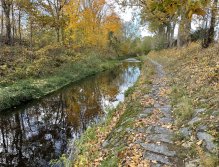 Jelenka v Janovicích nad Úhlavou