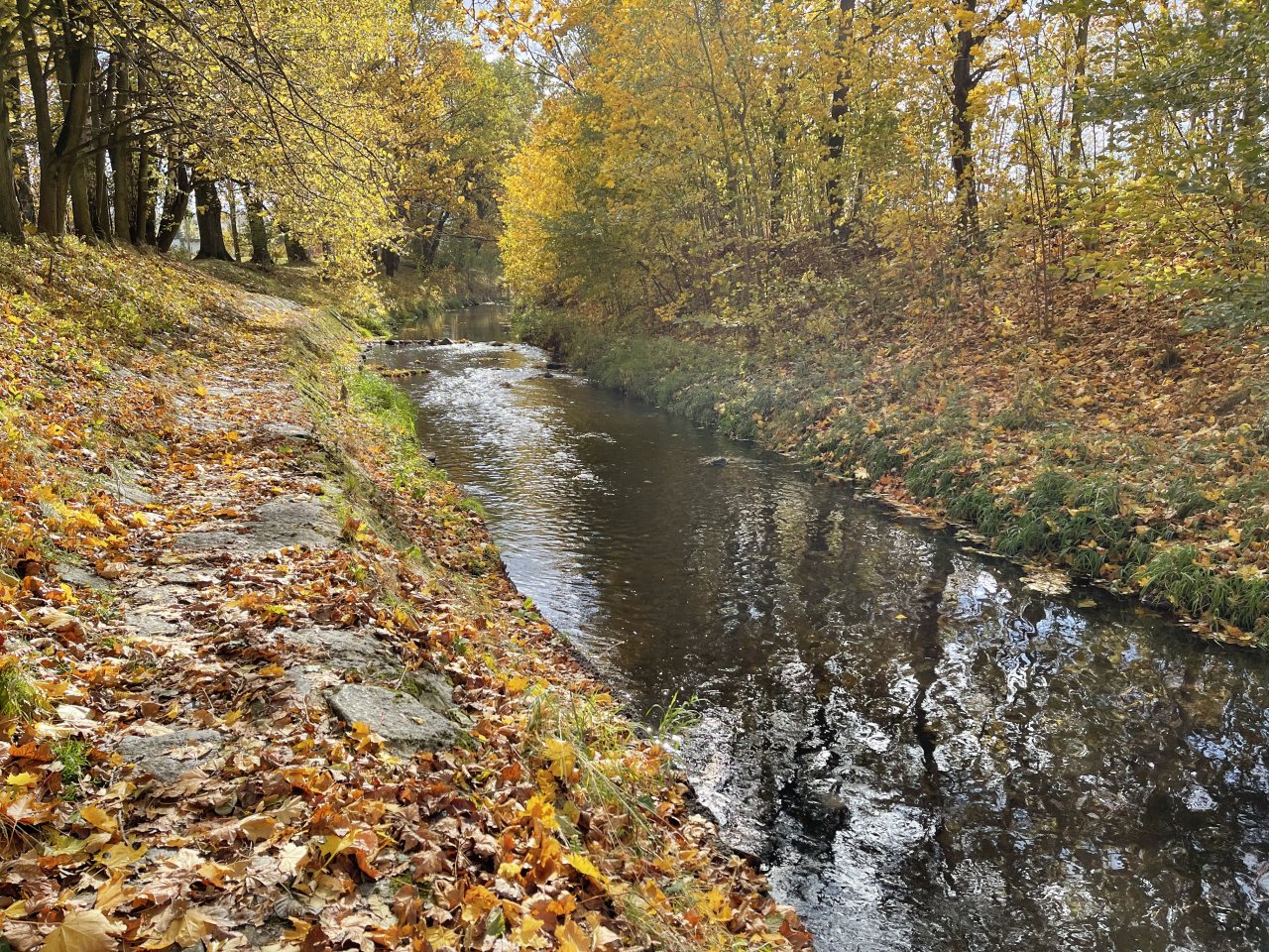 Jelenka v Janovic�ch nad �hlavou