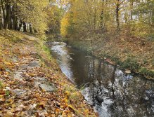 Jelenka v Janovicích nad Úhlavou
