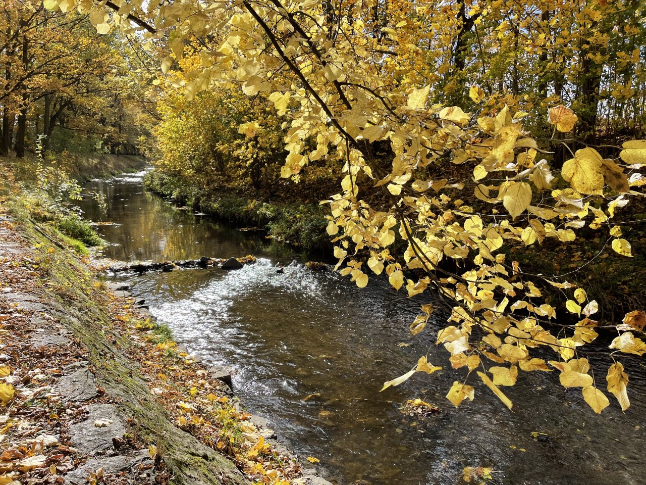 Jelenka v Janovic�ch nad �hlavou