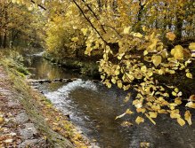 Jelenka v Janovicích nad Úhlavou