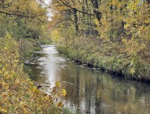 Jelenka v Janovicích nad Úhlavou