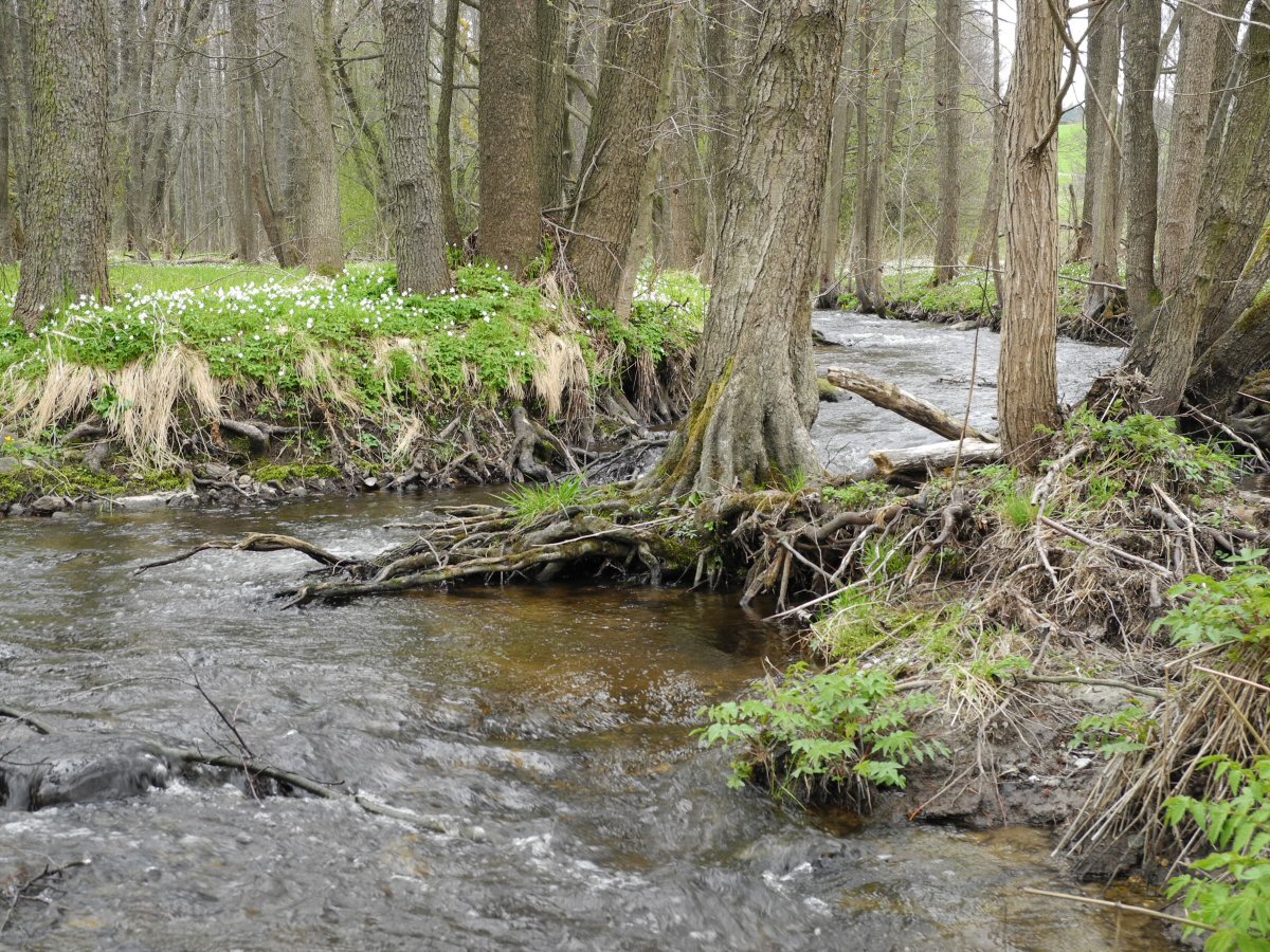 M�e nad n�dr�� Lu�ina