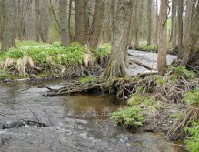 Mže nad nádrží Lučina