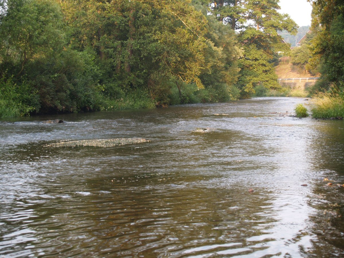 M�e u Svoj��na