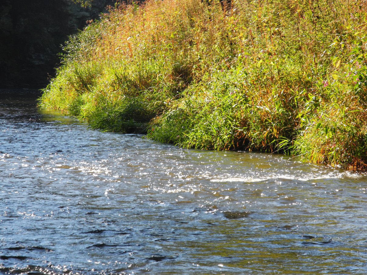 M�e u Svoj��na