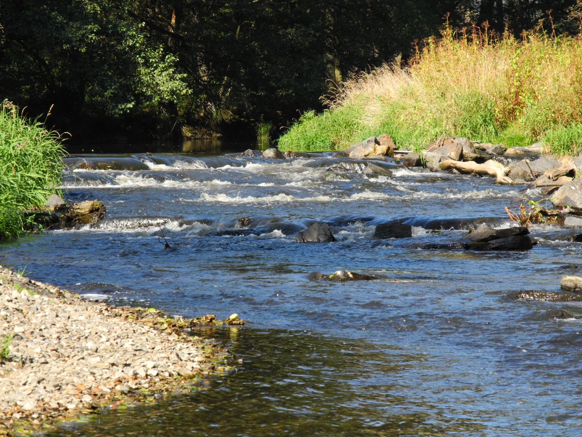 M�e u Svoj��na