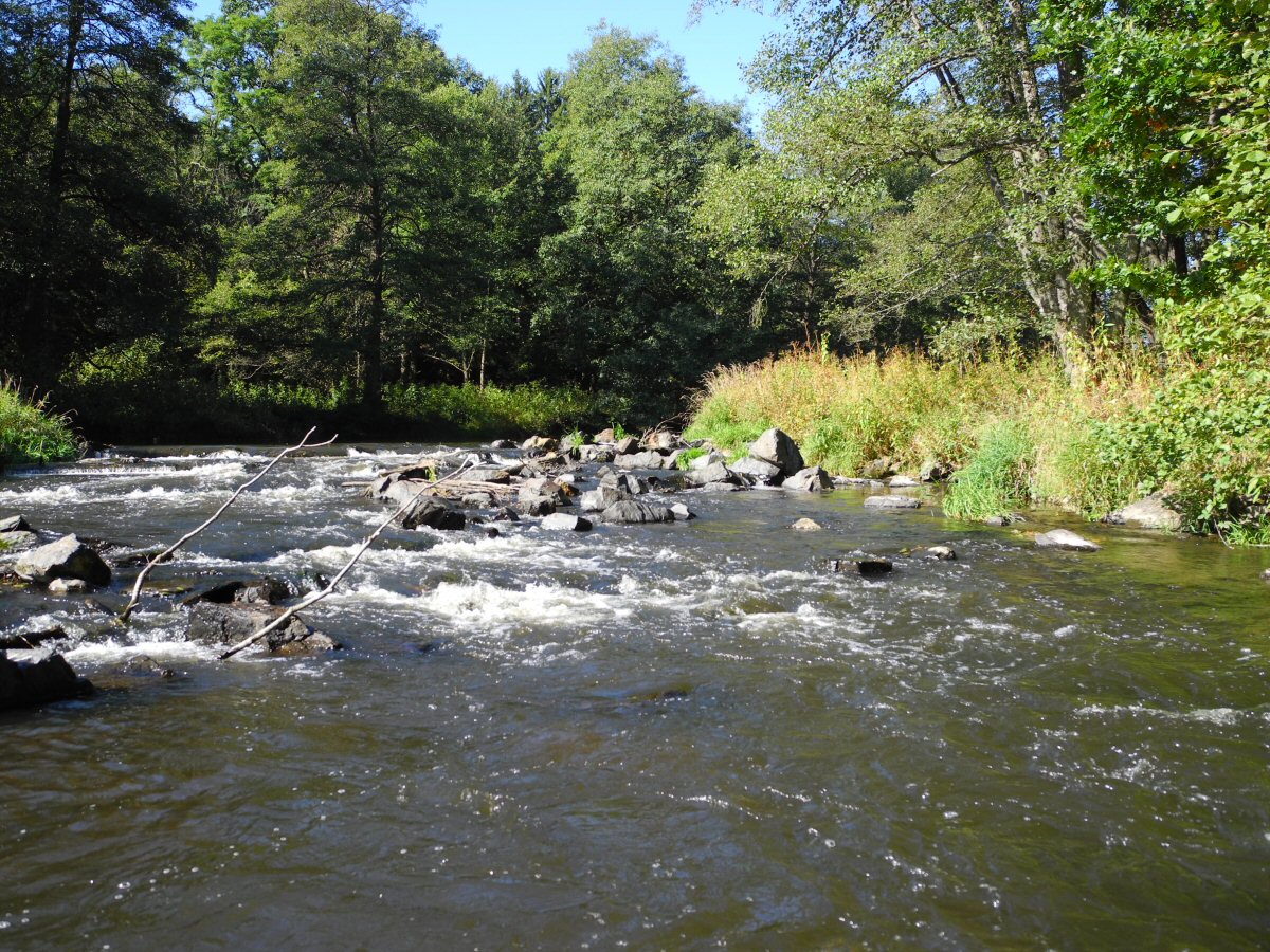 M�e u Svoj��na