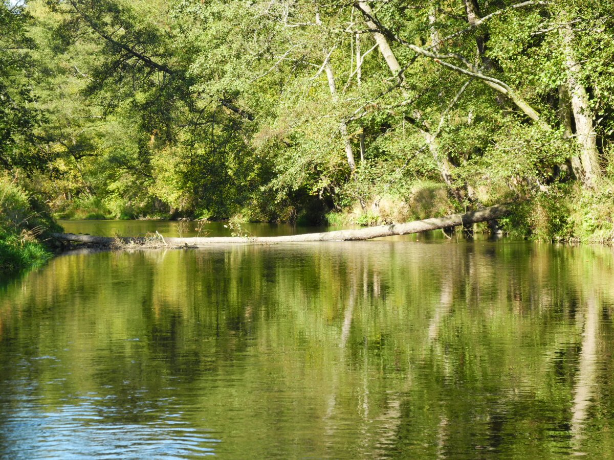 M�e u Svoj��na