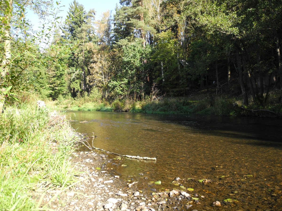 M�e u Svoj��na